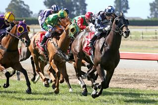 Kolonel Kev (NZ) makes it two in a row in the Listed Craigmore Timaru Cup. Photo: Race Images South